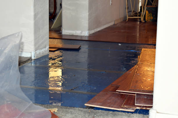 Professional Water Damage Restoration technician working in Victoria, VA